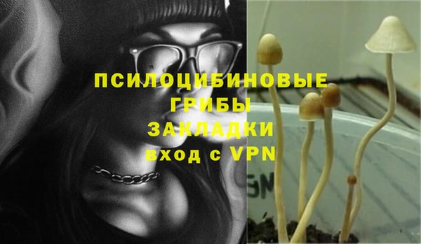 бутират Гусиноозёрск