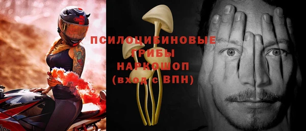 бошки Горнозаводск