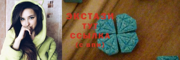 ГАЛЛЮЦИНОГЕННЫЕ ГРИБЫ Гусев