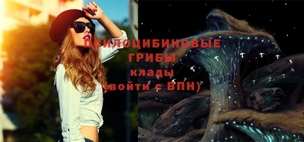 ГАЛЛЮЦИНОГЕННЫЕ ГРИБЫ Гусев