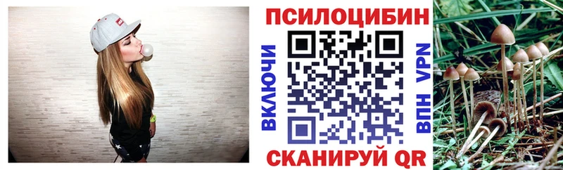 Галлюциногенные грибы ЛСД  Купить закладки  Новодвинск 